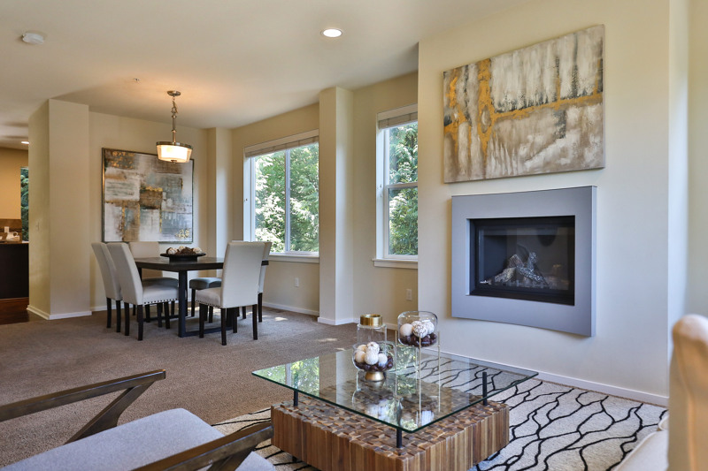 Modern gas fireplace gives living room a sophisticated ambiance.